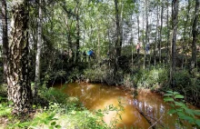Betonowanie rzek, wycinka lasów pod budowę fabryk za pieniądze z KPO