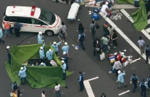 Killer who went on stabbing rampage in Japanese shopping centre is executed