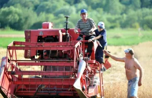 Wakacje na wsi, pracowaliśmy jak woły