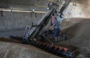 Bułgarscy rolnicy zapowiadają blokadę importu zboża z Ukrainy