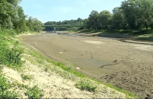 Dramatycznie niski poziom wody w rzekach. Na niektórych nie ma jej wcale [WIDEO]