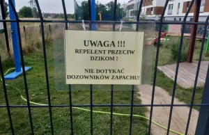 W Zielonkach pod Krakowem odkryto sposób na odstraszanie dzików