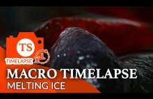 Ice Timelapse - Ice Cubes & Icecream Melting Macro Video 4K