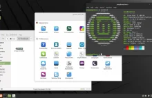 Linux Mint 21 "Vanessa" dostępny do pobrania
