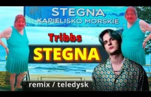 Tribbs - Stegna (Remix). Teledysk z plaży w Stegnie :) ft Pani Gosia Dziedzic