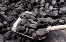 Kwalifikowani Dostawcy Węgla: PGG tworzy sieć składów, gdzie kupimy tanio węgiel