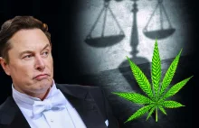 Elon Musk wzywa do uwolnienia więźniów skazanych za posiadanie marihuany