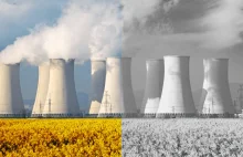 Połowa reaktorów jądrowych we Francji nie działa