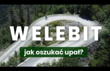 Welebit: dzikie góry Chorwacji. Nie spotkasz tu prawie nikogo