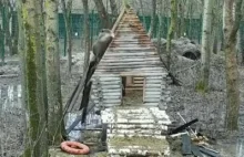 Niedźwiedź buduje domek w lesie