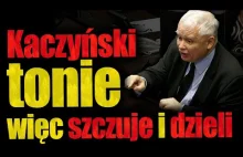 Kaczyński tonie, więc szczuje i dzieli.