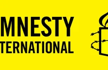 Amnesty International twierdzi, że ukraińska armia naraża ludność cywilną