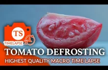 Rozmrażanie ćwiartki pomidora w time-lapse 4k