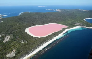 Różowe jezioro w Australii?