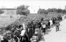78. rocznica rozpoczęcia „Rzezi Woli”. Niemcy wymordowali 60 tysięcy cywilów