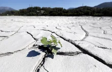 Francja: największa susza w historii kraju. Rząd tworzy jednostkę kryzysową