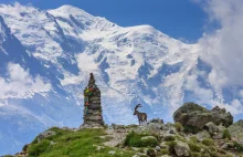 Wybierasz się na Mont Blanc? Zostaw w kasie pieniądze na swój… pogrzeb