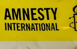 Szefowa biura Amnesty International w Kijowie zwalnia się po publikacji raportu