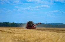 Kolejne złe wieści dla cen żywności. "Idzie susza hydrogeologiczna"