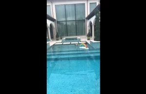 [VIDEO] Buldog na basenie