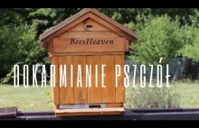 Dokarmianie stymulacyjne pszczół - 1# Krótki film o pszczołach