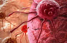 Armia limfocytów do walki z nowotworem.Trwają prace nad szczepionką na raka płuc