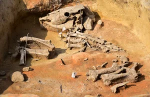 Pod Sandomierzem znaleziono szczątki konia sprzed kilku tysięcy lat
