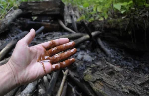 Poznaj Bieszczady. W Bieszczadach ropa płynie leśnymi strumieniami.