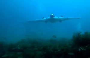 Podwodny dron SeaSearcher do poszukiwania skarbów