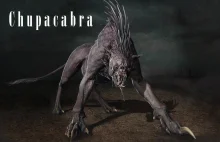 Chupacabra - bestia zabijająca zwierzęta i wysysająca krew ofiar