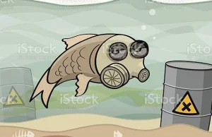 Komunikat dotyczący pojawienia się śniętych ryb w Odrze – bieżące...
