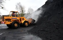 Tauron powinien kupić nową kopalnię. Jakość węgla ma znaczenie
