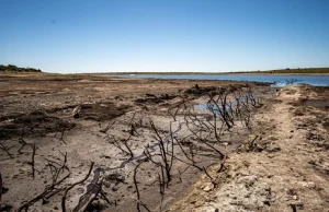 Nature: Fale upałów przerosły oczekiwania wynikające z modeli klimatycznych