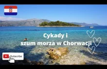 Biały szum. Cykady i szum morza w Chorwacji. Wyspa Badija
