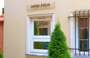 Szokujące odkrycie we wrocławskim „oknie życia”!