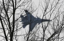 Alaska wykryła rosyjski samolot wojskowy w strefie obronnej 3 razy w tym...