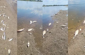 Wody polskie ogłaszają konkurs na zdjęcia do kalendarza.