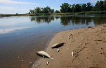 Rząd rozważa pogłębienie Odry. Chce także zwrócić się o pomoc międzynarodową