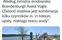 Niemiecki minister: przyczyna śmierci ryb w Odrze nie jest znana.