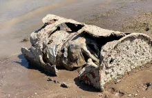 Susza odsłoniła kolejne ludzkie szczątki w jeziorze Mead (USA).