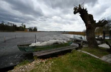 Prokuratura wszczęła śledztwo w sprawie zanieczyszczenia Jeziora Kierskiego