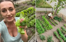 Mieszkanka Warszawy zamieniła zaniedbany trawnik pod blokiem na warzywnik.