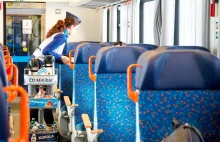 Czeskie Koleje zaczęły oferować w pociągach jadalne owady