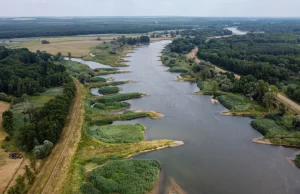 Zaskakująca zmiana poziomu wody na Odrze. Spekulacje niemieckiej gazety