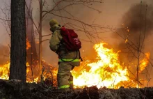 Syberia w ogniu: pożary napędzają tajanie zmarzliny.