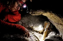 W Tatrach odkryto pierwsze ślady po łowcach reniferów sprzed ok. 12 000 lat!