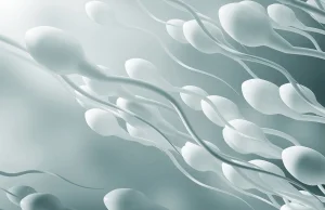 Potwierdzony przejściowy negatywny wpływ szczepionki COVID-19 BNT162b2 na spermę