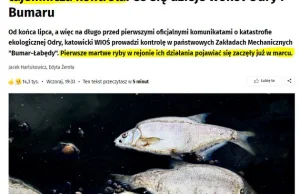 W Onet dzień jak codzień, dziś kłamstwa o Bumarze