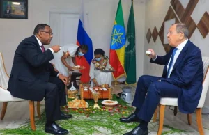 Rosja chce skolonizować Afryke: dezinformacja i żywność jako broń [ANALIZA