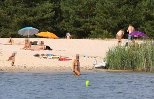 Nad Pogorią w Dąbrowie Górniczej jest NAJLEPSZA śródlądowa plaża dla nudystów?